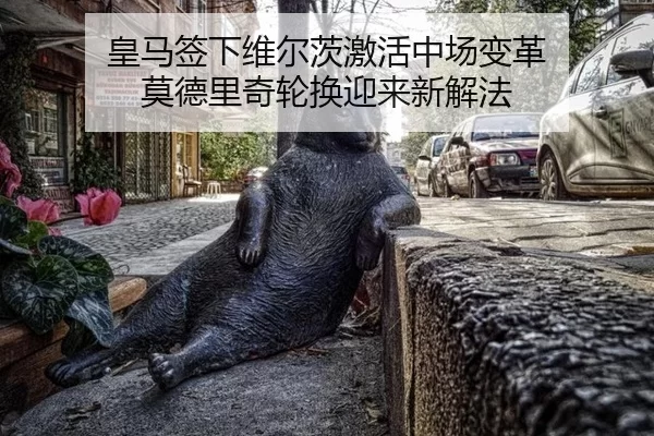 皇马签下维尔茨激活中场变革 莫德里奇轮换迎来新解法